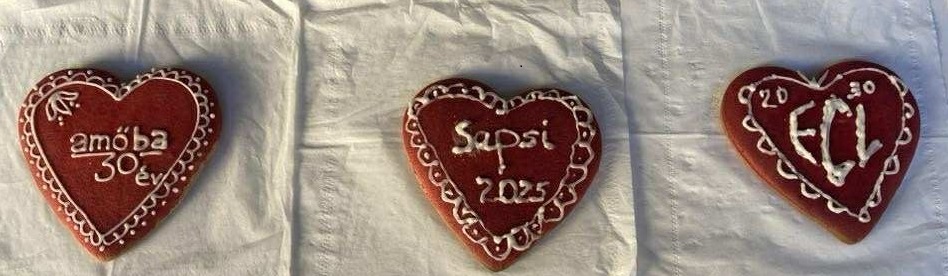 Jubilee gingerbread cookies – Amőba 30 év, Sepsi 2025, ECL 20–30